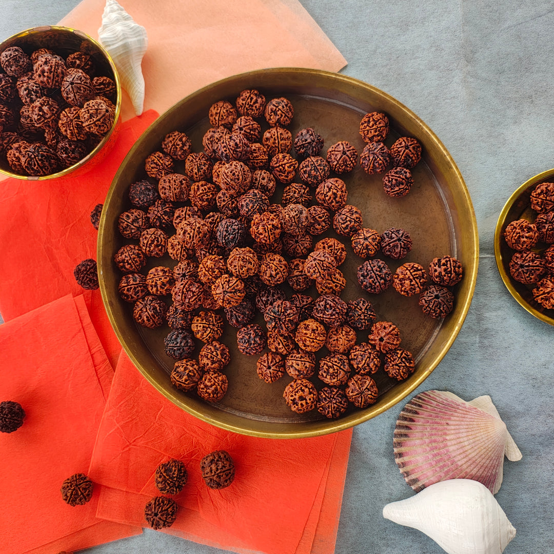 5 Mukhi Rudraksha Shravan Donation Pack – 100 Beads for Temples & Saints