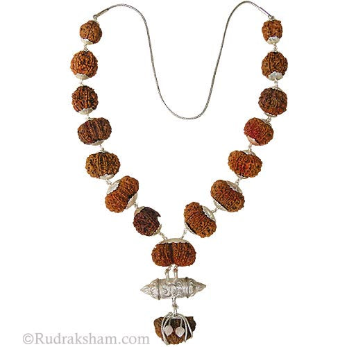 Super Collector Rudraksha Beads Kantha Mala 1 Mukhi to 14 Mukhi Gauri Shankar Ganesh | Rare Collection of Siddha Rudraksha Beads With Rudraksha Yantra Kavach