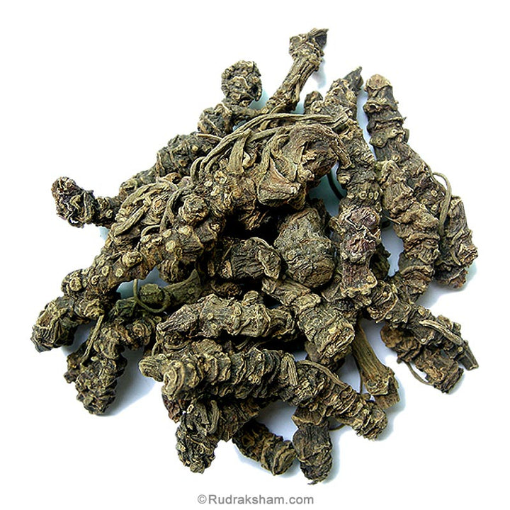 Tagara - Indian Valerian Herb