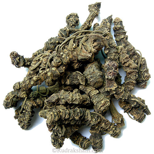  Tagara - Indian Valerian Herb