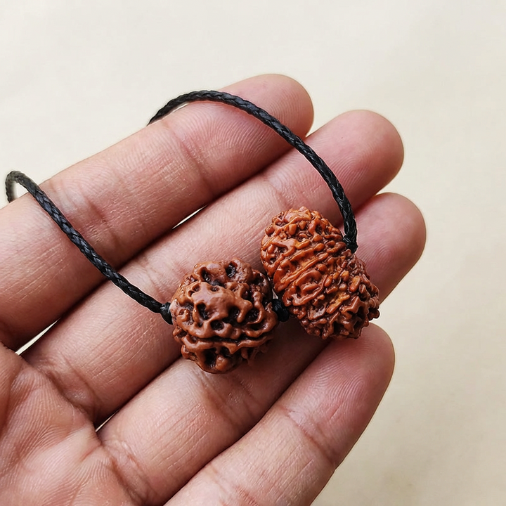 Leo (Simha) Authority & Leadership Bundle - 12 & 3 Mukhi Rudraksha