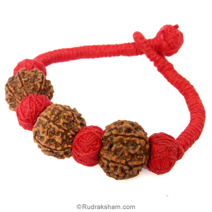 Triple 7 Mukhi Wrist Band