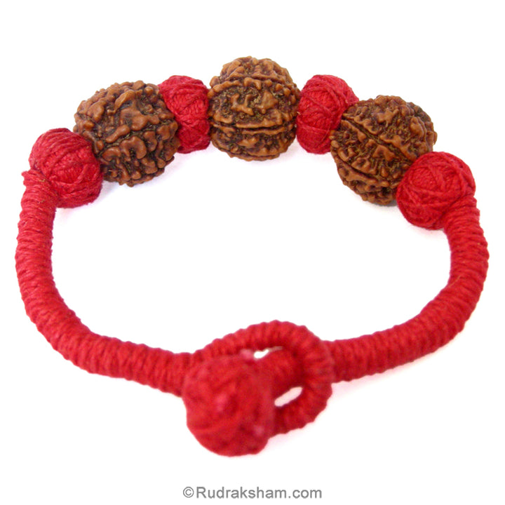  Triple 7 Mukhi Wrist Band