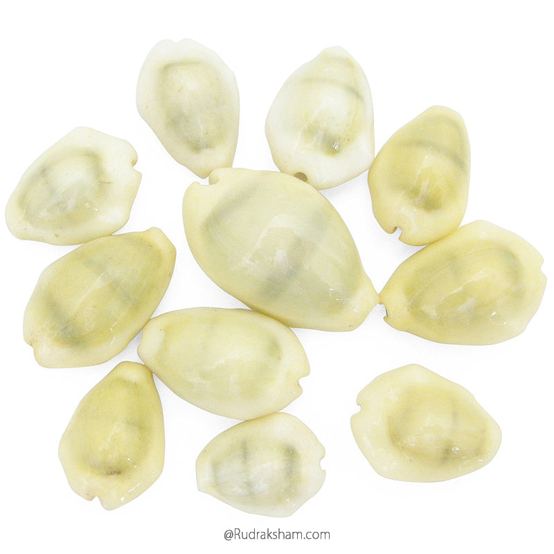  Natural Yellow Kaudi