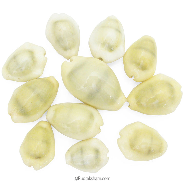  Natural Yellow Kaudi