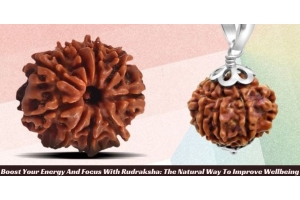 buy 10 Mukhi Rudraksha 