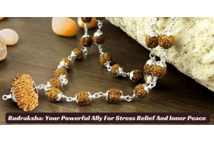 buy 14 Mukhi Rudraksha 