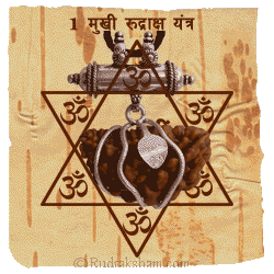 Rudraksha Yantra Kavach Rudraksha Yantra Kavach