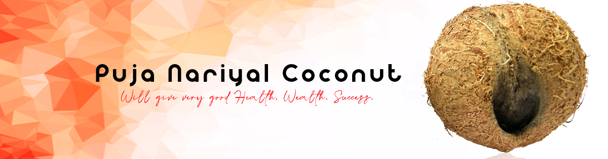 Puja Nariyal - Coconut