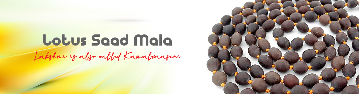 Lotus Seed Mala Lotus Seed Mala