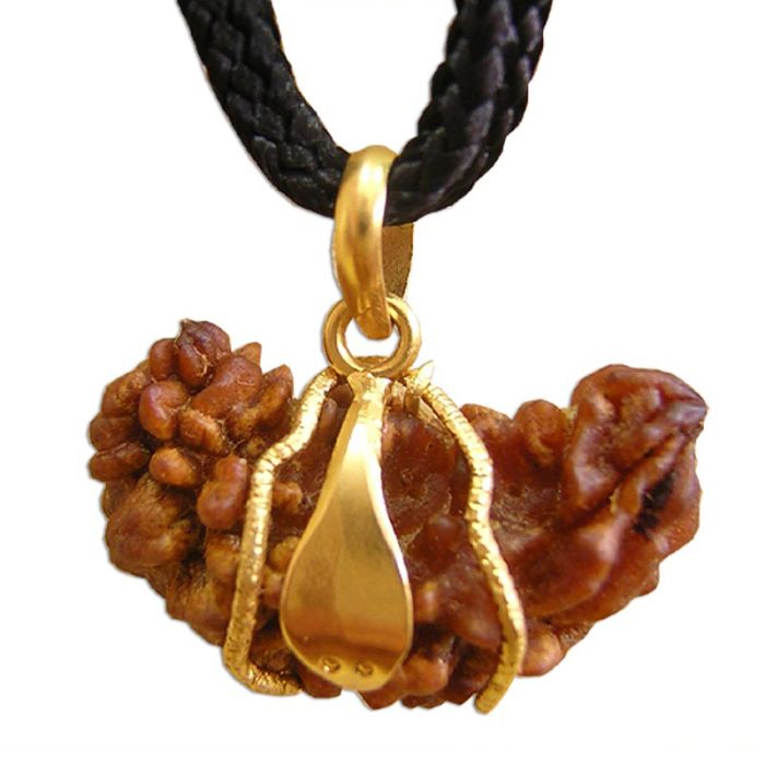 1 Mukhi Rudraksha Gold Pendant High Grade Beads from Rudraksham Ek Mukhi Rudraksha Rudraksham