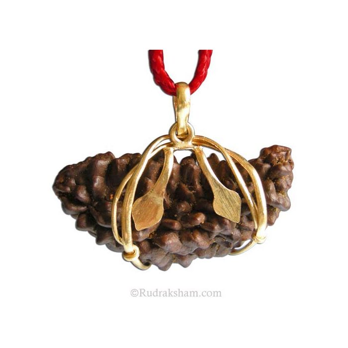 Ek mukhi rudraksha gold pendant on sale