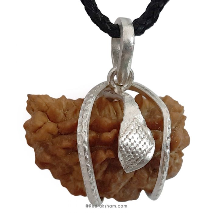 Ek mukhi rudraksha silver pendant new arrivals