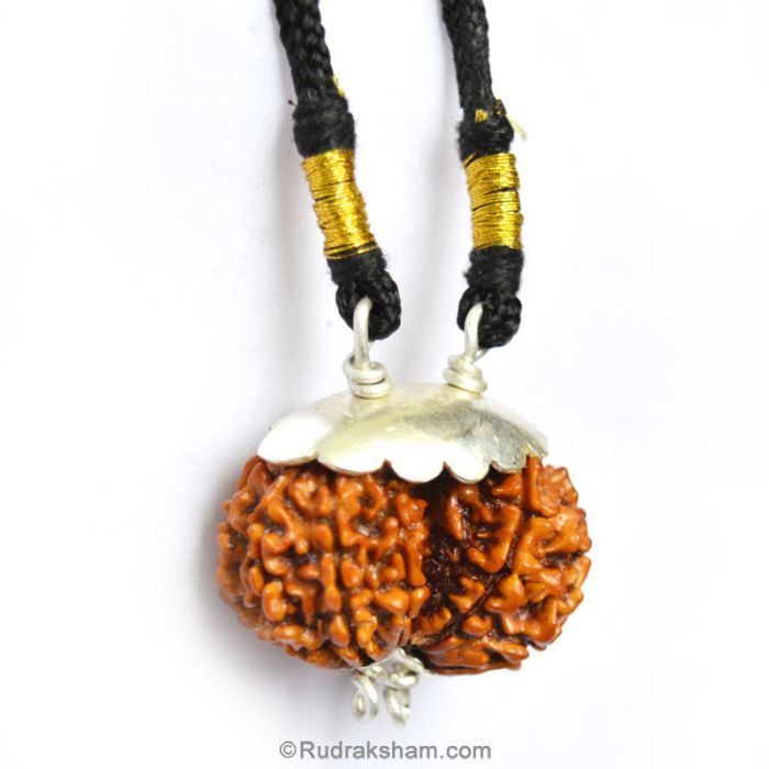 Gauri Shankar Rudraksha Bead Pendant Buy Online at Best Price Rudraksham