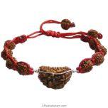 1 Mukhi Rudraksha Thread Bracelet, Ek Mukhi Rudraksha Bead Silver Caps thread Bracelet | Half Moon Shaped Indian One Mukhi Rudraksha Bracelet with 5 ( Five ) Mukhi