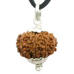 11 Mukhi Rudraksha Pendant Online | Gyarah Mukhi | Buy Genuine Eleven Mukhi Rudraksha Pendant in Silver