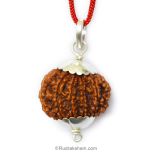 Collector 11 Mukhi Rudraksha Pendant, High Quality Eleven Mukhi Pendant | Gyarah Mukhi Collector Rudraksha Pendant from Nepal