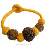  11 Mukhi Rudraksha Wrist Band With 5 Mukhi Rudraksha Beads From Nepal | 100% Original Energized Authentic Rudraksha Beads