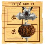 14 Mukhi Rudraksha Yantra Kavach - Fourteen Mukhi Rudraksha Yantra On Bhoj Patra | Collector 14 Mukhi Rudraksha Bead Pendant | Chaudah Mukhi Fourteen Faced Natural Energised Rudraksha Bead From Nepal 