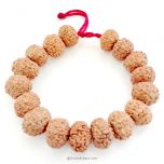 3 Mukhi Rudraksha Bead Mala Bracelet | Nepal Three Mukhi Rudraksha Thread Bracelet for Planet Mars | Eleven Beads of 3 Mukhi