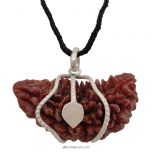 (47 mm) 1 Mukhi Rudraksha Super Collector Bead Pendant | Ek Mukhi Rudraksha Indian Bead | Half Moon Shaped Ek Mukhi Rudraksha Bead | 1 Mukhi Rudraksha Online Super Collector Bead Pendant In Silver