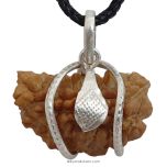 1 Mukhi Rudraksha Silver Snake Pendant | Indian Ek Mukhi Rudraksha Pendant