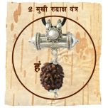 2 Mukhi Rudraksha Yantra Kavach - Two Mukhi Rudraksha Yantra On Bhoj Patra | Collector 2 ( Do ) Mukhi Rudraksha Bead Pendant | 100% Original Energised Nepal 2 Mukhi Rudraksha Bead 