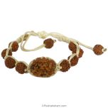 2 Mukhi Rudraksha Thread Bracelet | Do Mukhi Rudraksha Bead wrist band | Indian Two Mukhi Rudraksha Wrist Bracelet with 5 ( Five ) Mukhi