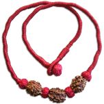 2 Mukhi Rudraksha Bead Triple Pendant In Thread | Two Mukhi, Do Mukhi, 2 Faced Rudraksha Beads Kantha Mala Necklace | 2 Mukhi Indian Rudraksha