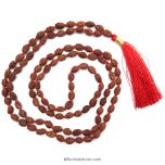  3 Mukhi Rudraksha Indonesian Beads Japa Mala | 108 Beads Java Three Mukhi Rudraksha Beads Kantha Mala | Teen Mukhi Mala Rosary