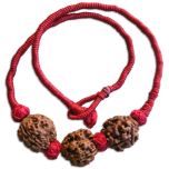 3 Mukhi Rudraksha Bead Triple Pendant In Thread | Three Mukhi, Teen Mukhi, 3 Faced Rudraksha Beads Kantha Mala Necklace