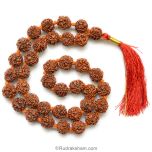  4 Mukhi Rudraksha Nepalese Mala in Thread | Four Mukhi Beads Mala Necklace | Rosary for Mercury