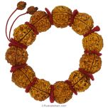 ( 24-25mm ) 5 Mukhi Giant Rudraksha Bead Mala Bracelet | High Quality Giant Collector Grade Five Faced Rudraksha Beads | 11 Beads of 5 Mukhi