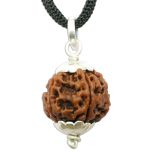 5 Mukhi Rudraksha Pendant | Benefits of Wearing FIVE Faced Rudraksha Pendant, Energised Panch Mukhi Nepali Bead Silver Pendant