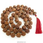 5 Mukhi Rudraksha Nepalese Japa Mala |  Nepal Rudraksha Beads Handknotted Kantha Mala In Thread 20mm - 22 mm
