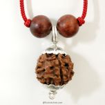 Wholesale Pack - 5 ( Five ) Mukhi Rudraksha Pendant in Copper Caps,  Necklace with Red Sandalwood ( Rakta Chandan ) Beads | Pack of 10 Paanch Mukhi Mala Necklace