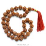  5 Mukhi Rudraksha Nepalese Japa Mala Rosary | 36 Beads Nepal Rudraksha Kantha Mala In Thread