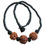 5 Mukhi Rudraksha Bead Triple Pendant In Thread | Five Mukhi, Paanch Mukhi, 5 Faced Rudraksha Beads Kantha Mala Necklace
