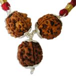 5 Mukhi Rudraksha Bead Triple Pendant in Silver | Five Mukhi , Paanch Mukhi, 5 Faced Rudraksha Beads Silver Caps Kantha Mala Necklace