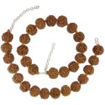 6 Mukhi Rudraksha Armlets with Silver Chain - Pack of 2 | Six Mukhi Rudraksha Beads Armlets | 6 Mukhi Nepal Beads Arm Bracelets | Meditation Bracelets