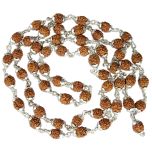 6 Mukhi Indonesian Rudraksha Mala Necklace | Six Mukhi Silver Caps Mala | Energised Java Six faced 54 Beads Mala Rosary