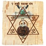 7 Mukhi Rudraksha Yantra Kavach - Seven Mukhi Rudraksha Yantra on Bhoj Patra - Collector 7 Mukhi Rudraksha Bead Pendant | Saat Mukhi Seven Faced Rudraksha Bead from Nepal