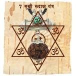  7 Mukhi Rudraksha Yantra Kavach - Seven Mukhi Rudraksha Yantra on Bhoj Patra | Buy Online Nepal Bead Seven / Saat Faced Original Energised Rudraksha Bead Pendant