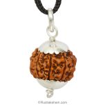  7 Mukhi Rudraksha Collector Pendant, Benefits of Saat Mukhi Pendant , Large 7 Mukhi Rudraksha in Silver Pendant