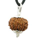  8 Mukhi Rudraksha Pendant Nepal, Aath Mukhi, Benefits of Eight Mukhi Pendant | Energised and Authentic 8 Mukhi Rudraksha Pendant