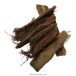  Ashoka - Saraca Asoca Herb