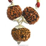  Business Power Pendant For MEN | Combination of 6 Mukhi Rudraksha, 8 Mukhi Rudraksha And 12 Mukhi Rudraksha Pendant In Silver