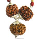 Business Power Pendant For MEN | Combination of 6 Mukhi Rudraksha, 8 Mukhi Rudraksha And 12 Mukhi Rudraksha Pendant In Silver