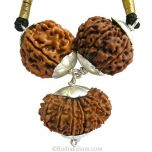 Business Power Pendant | 6 Mukhi Rudraksha, 8 Mukhi Rudraksha And 15 Mukhi Rudraksha Combination Pendant In Silver | For Iron and Chemical Business