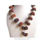 Gauri Shankar, 1-13 Mukhi Collector Rudraksha Beads Kantha Mala | Energised Shiva Beads Spiritual Kantha Mala Benefits | Configuration - 3